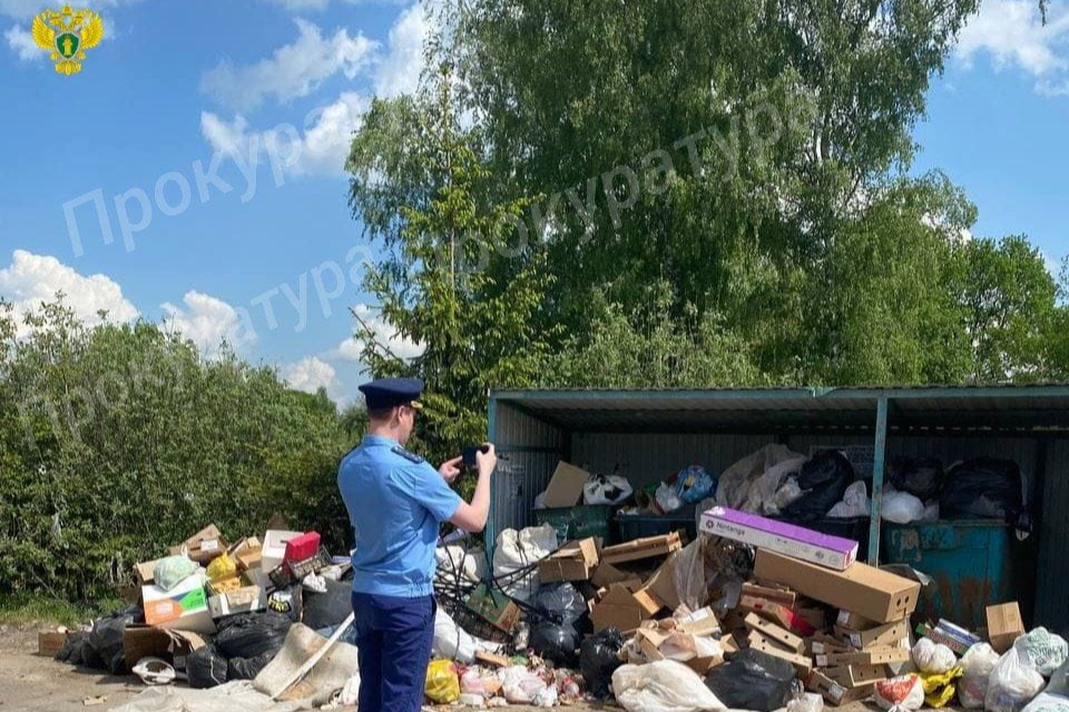 В Заокском выявлена несанкционированная свалка бытовых отходов