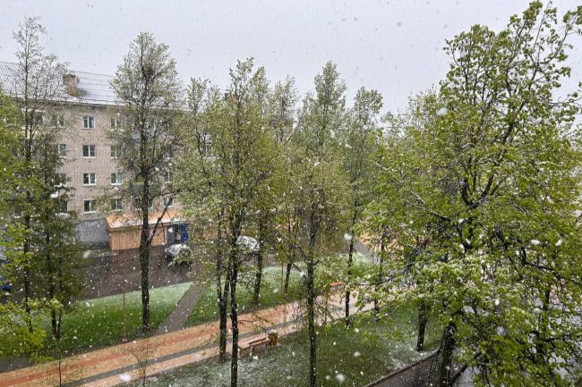Майский снегопад накрыл  Ясногорский район