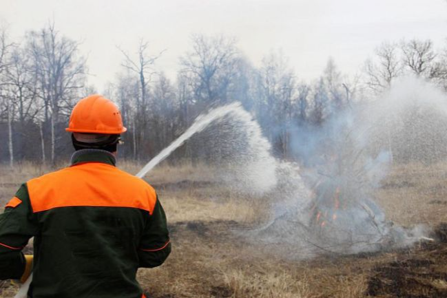 Прохождение пожароопасного периода в Тульской области обсудили на оперативном совещании