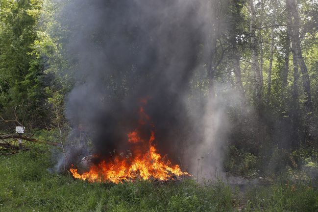 3 и 4 июля в некоторых районах Тульской области ожидается высокая степень пожароопасности