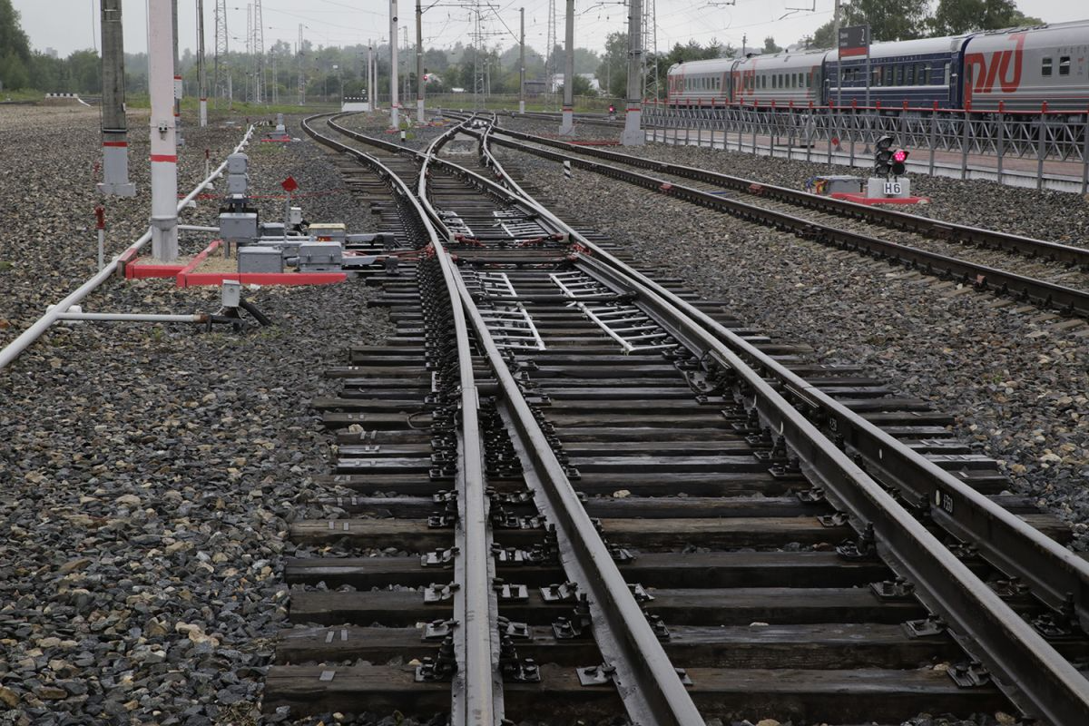 Тульская транспортная прокуратура организовала проверку по факту перекрытия грузовым поездом пешеходного перехода