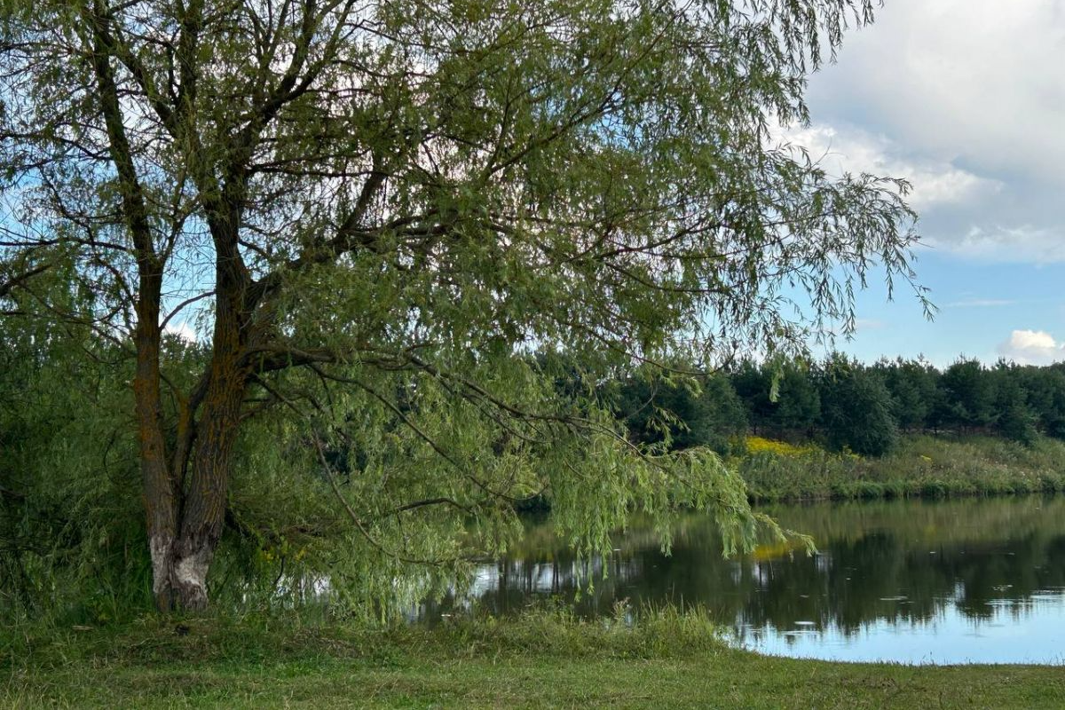 В Ясногорском районе сегодня возможны дожди и грозы