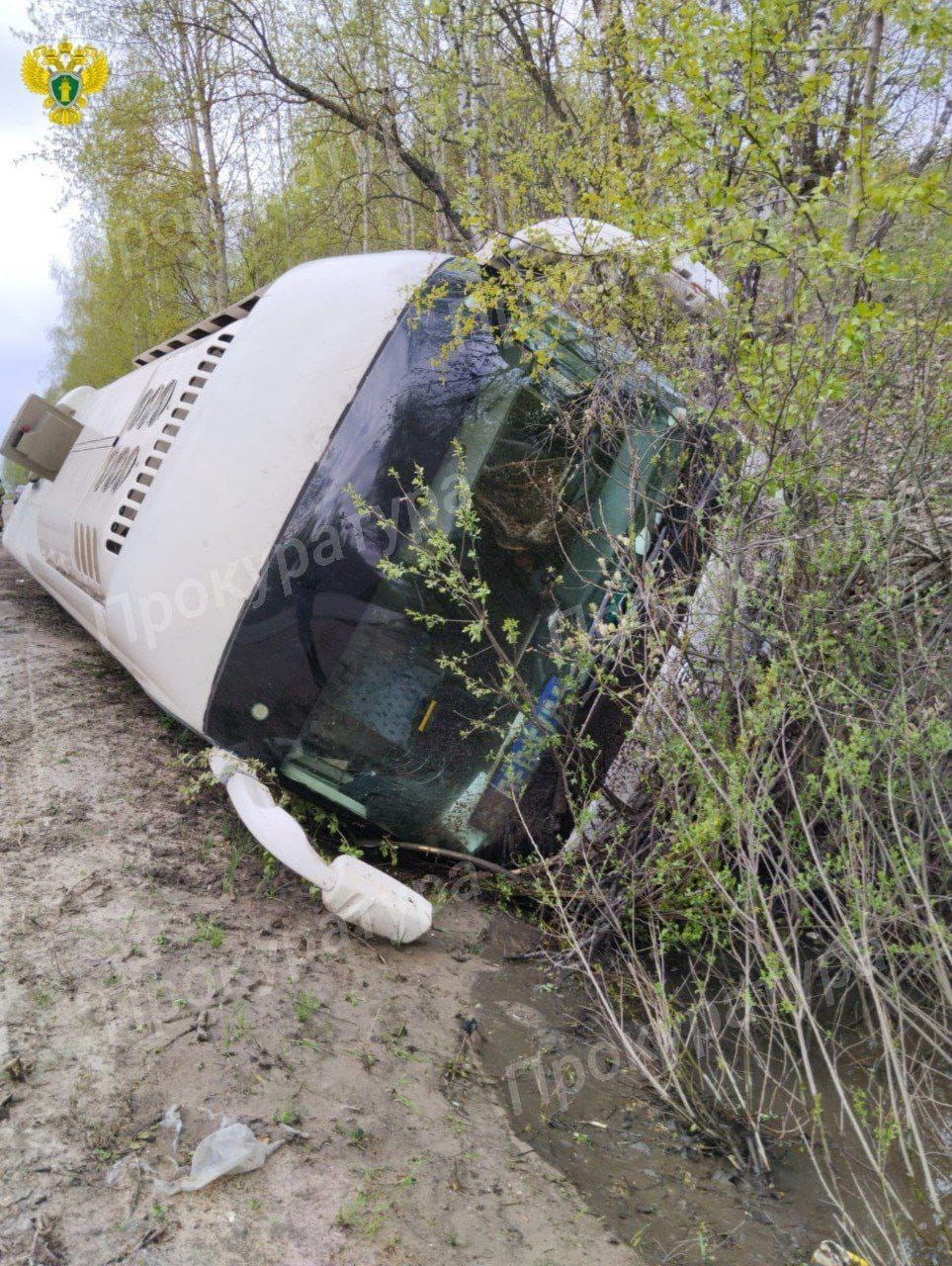 В Одоеве вынесен приговор водителю рейсового автобуса, попавшего в ДТП