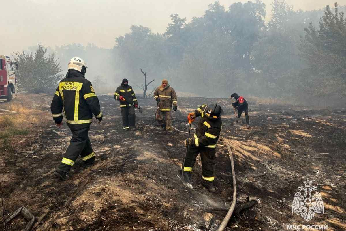 Туляки помогают ЛНР в тушении ландшафтных пожаров