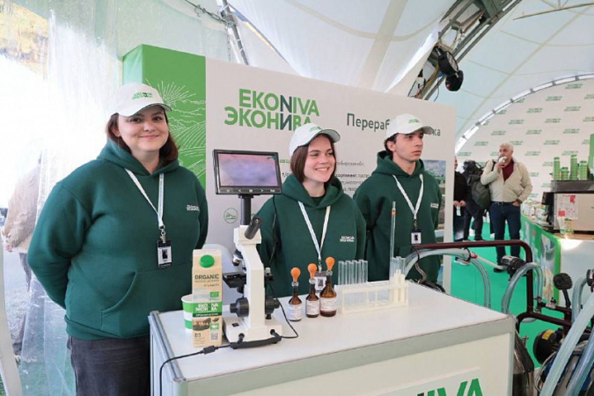 yo52r5b8f6shjymjnnfe35nq6h10l42v