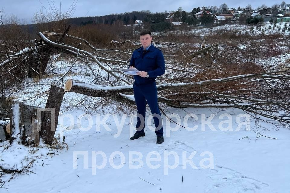 В Алексине ведется расследование незаконной вырубки деревьев в прибрежной защитной полосе Оки В Алексине ведется расследование незаконной вырубки деревьев в прибрежной защитной полосе Оки