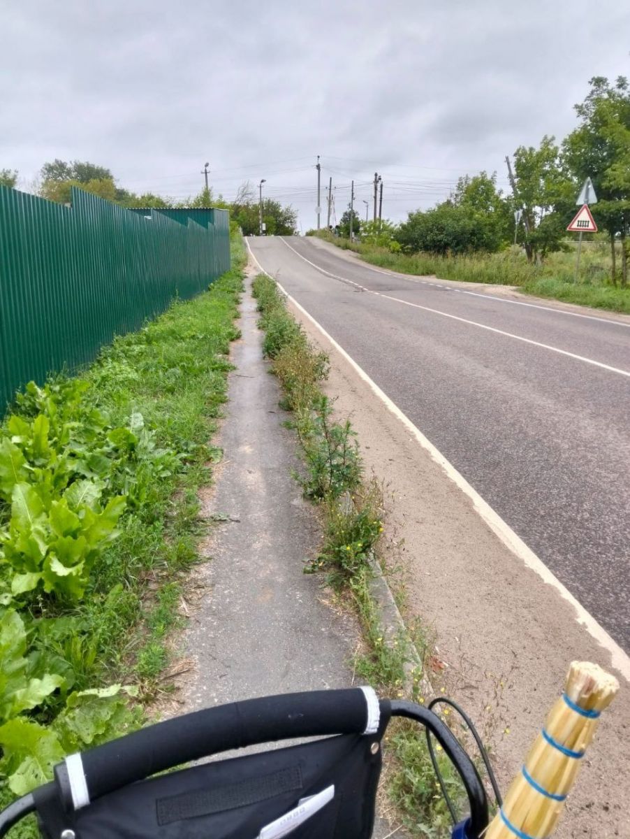 photo_5231213915801325271_y