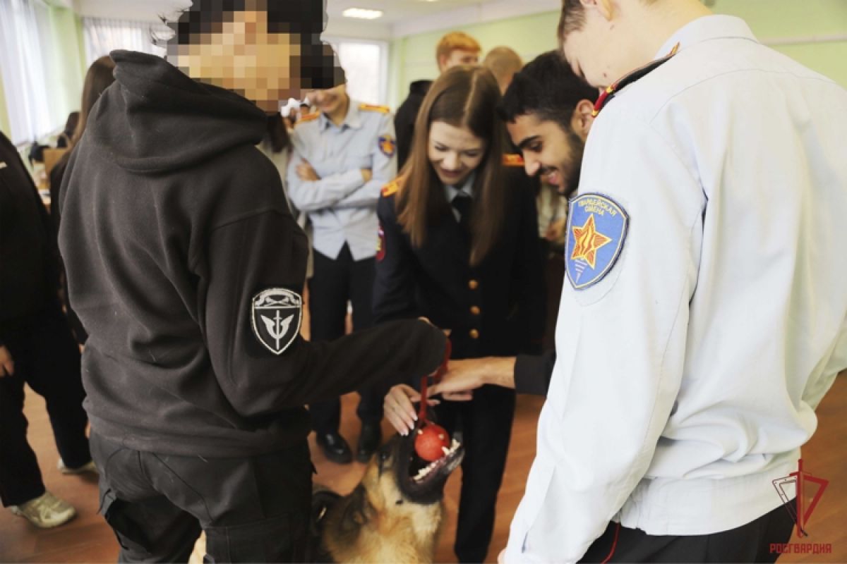 img9378_small_pillarboxed