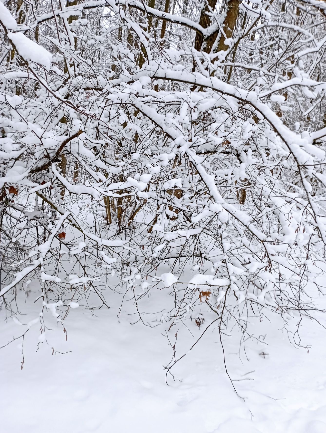 2lcxd4e7kbggu_mlmgxc2u6ojt5ryopjdgfobcul_v6v6semkum6i3ax0gkkto2x_wykwb-2zsrvt1b_wfholxsl