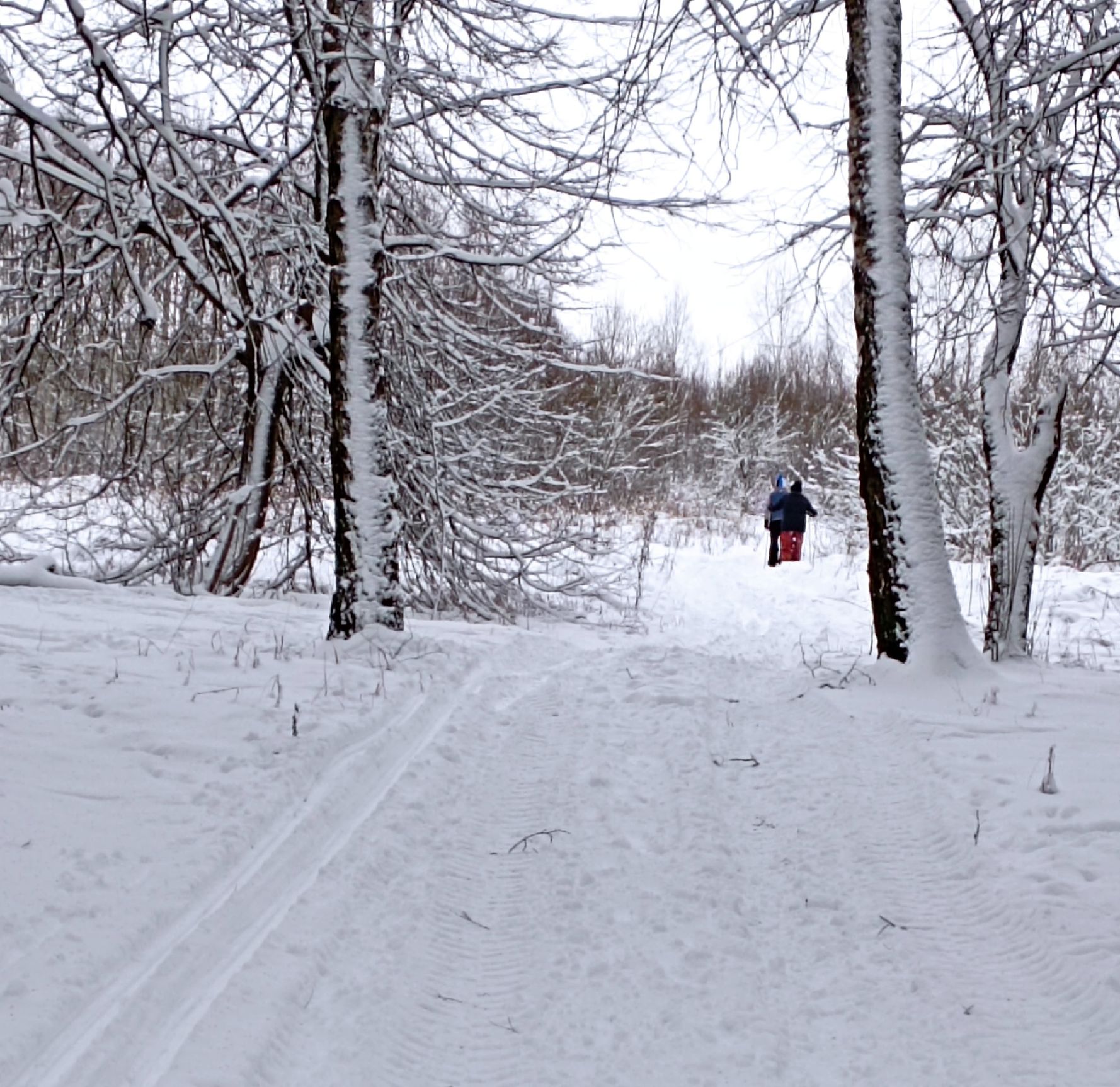 y9zmxwm7fq2q_6sefiwzxeiksesjjo7spttwtpd1ntftks5slazjfog3r4a9sx_0jzcscdo2xq0fkd6zzworp8pf