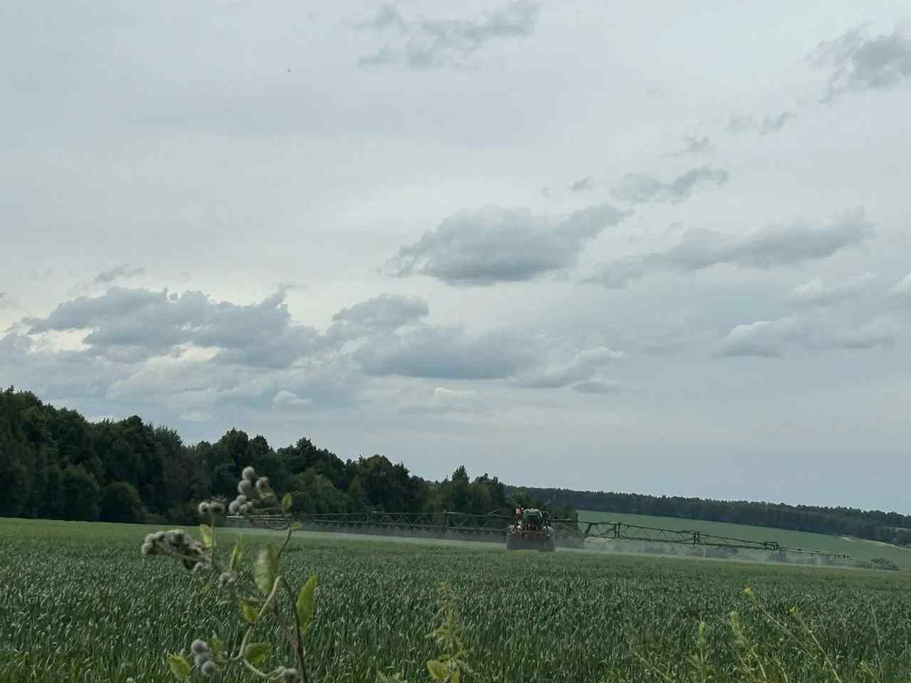 file_1