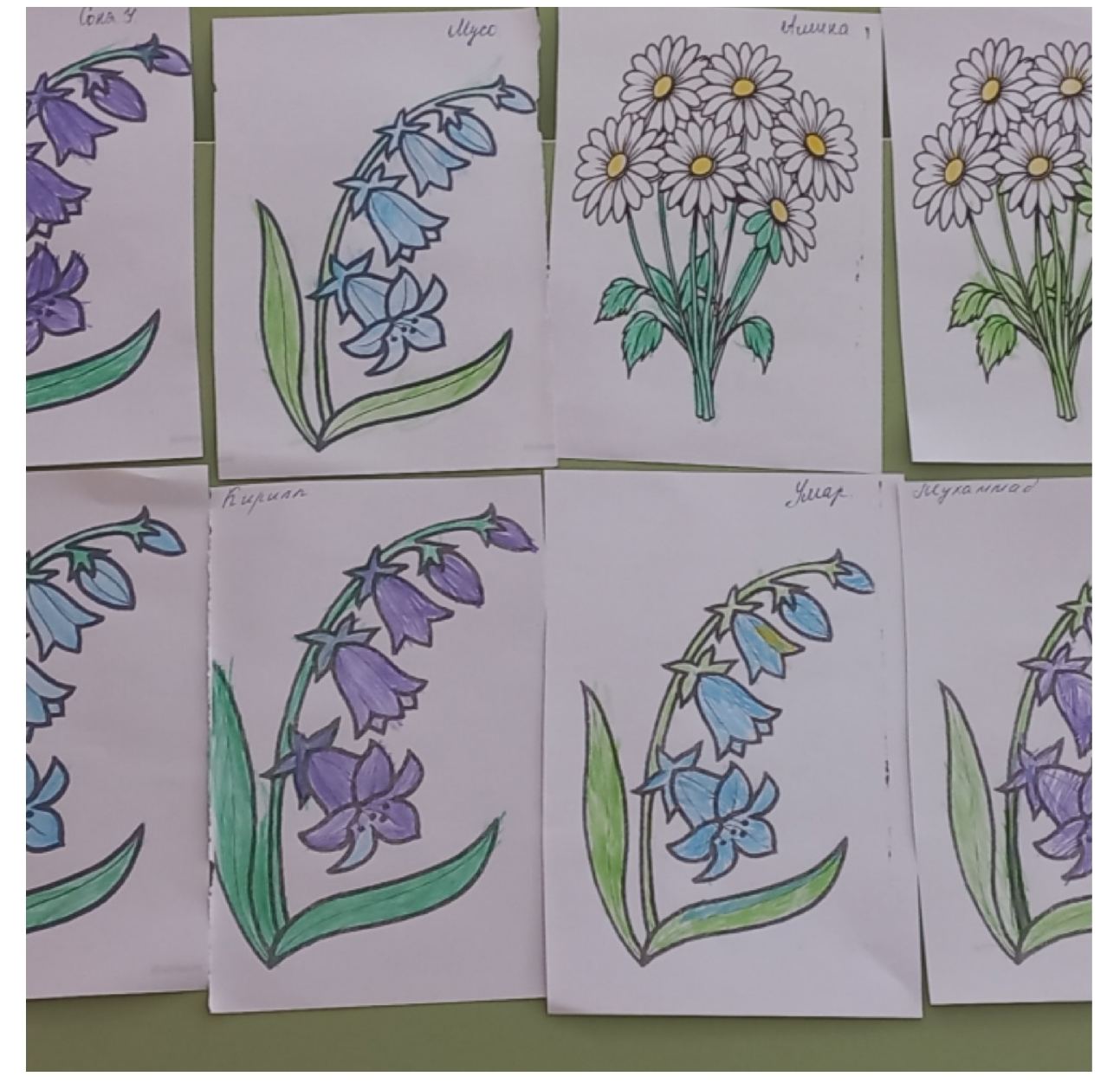 1ji2u3yk0og-did7oln7rozruyebbnfxmulxolr7zqaknala2a33k-ntz3sibtk5w1buvfg4hdqdmomyep4ii3q9