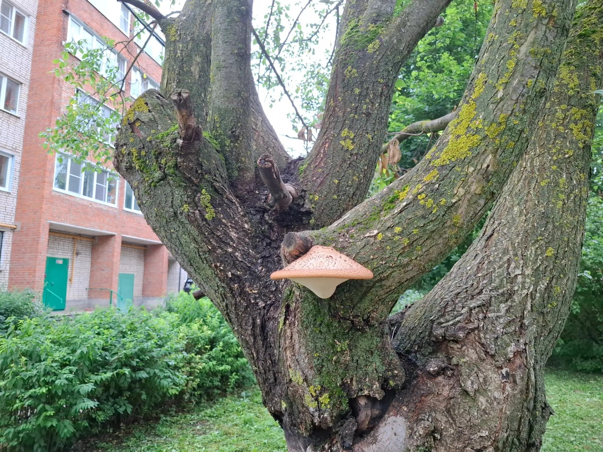 a4b47c89-5a45-4464-bfb3-efe0f0ef8c82