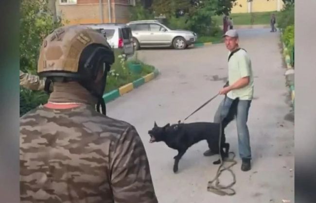 В Туле при задержании наркодилер оказал сопротивление полицейским и спустил с поводка свою собаку