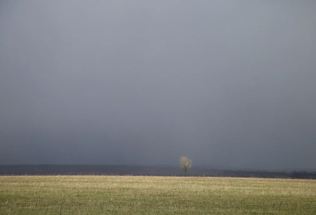 Заокский район 29 апреля накроет туман