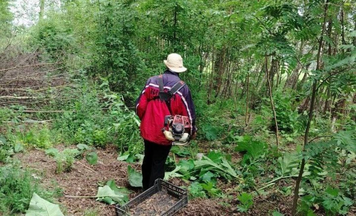 В Заокском районе продолжается благоустройство территорий
