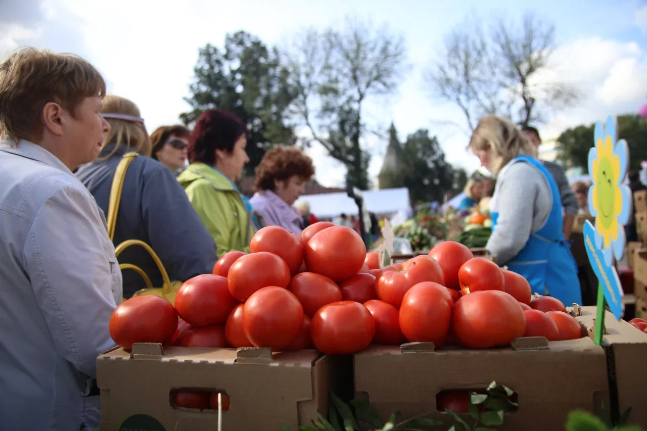 Стало известно, какие продукты в Тульской области стали дешевле