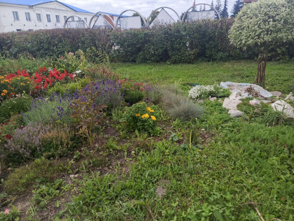 В Заокском сегодня облачно с прояснениями. Осадков не ожидается