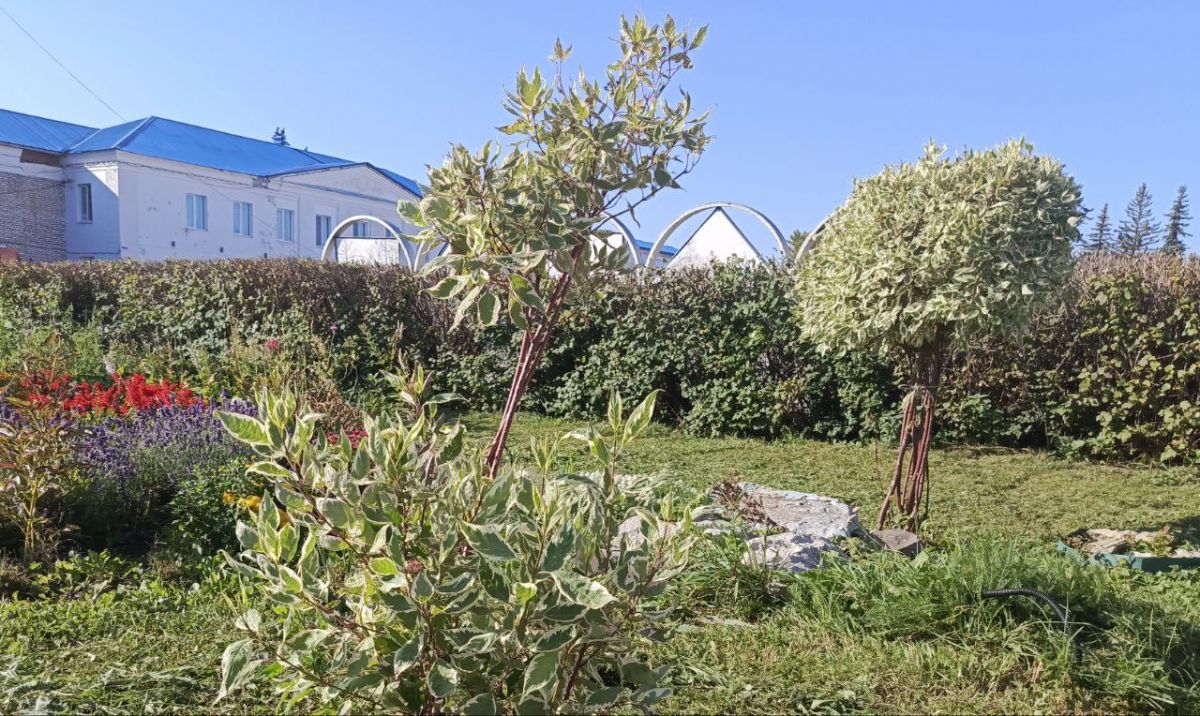 В Заокском сегодня тепло и солнечно