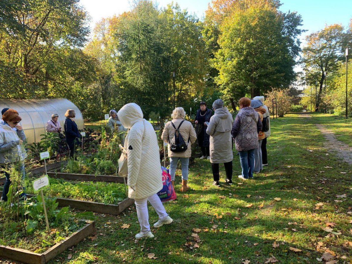 photo_5411450560516850069_y