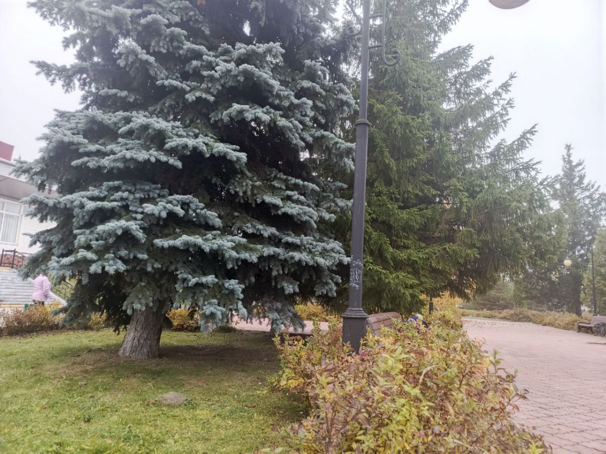 В Заокском сегодня облачно с прояснениями, возможен небольшой дождь В Заокском сегодня облачно с прояснениями, возможен небольшой дождь