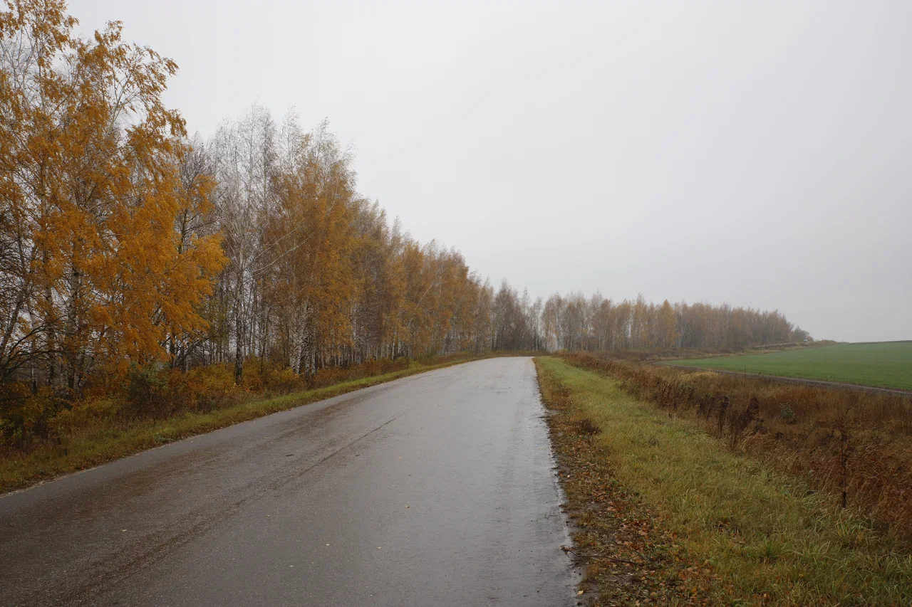 В Заокском сегодня пасмурно, без осадков