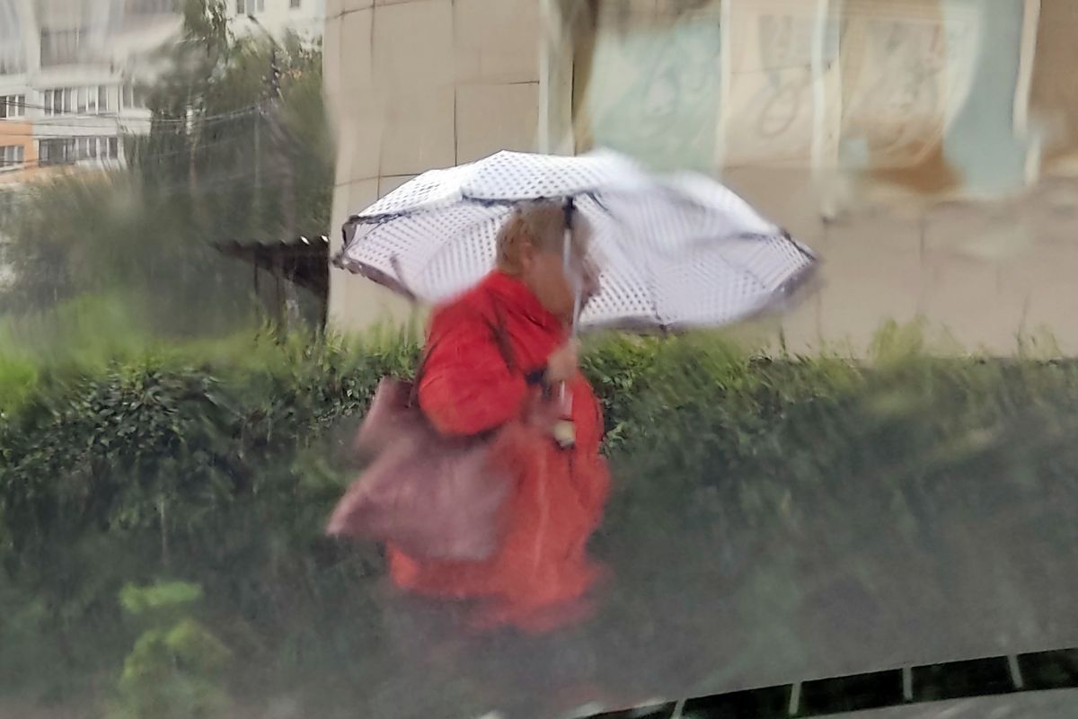 В Заокском сегодня пасмурно, возможен небольшой дождь В Заокском сегодня пасмурно, возможен небольшой дождь