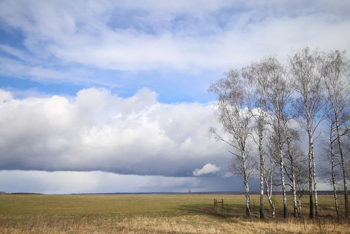 В Заокском сегодня пасмурно, без осадков В Заокском сегодня пасмурно, без осадков