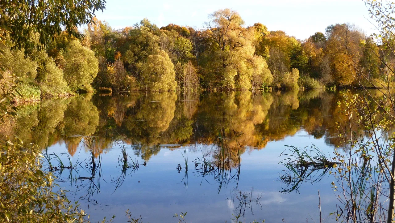 В Заокском сегодня пасмурно, возможен небольшой дождь В Заокском сегодня пасмурно, возможен небольшой дождь