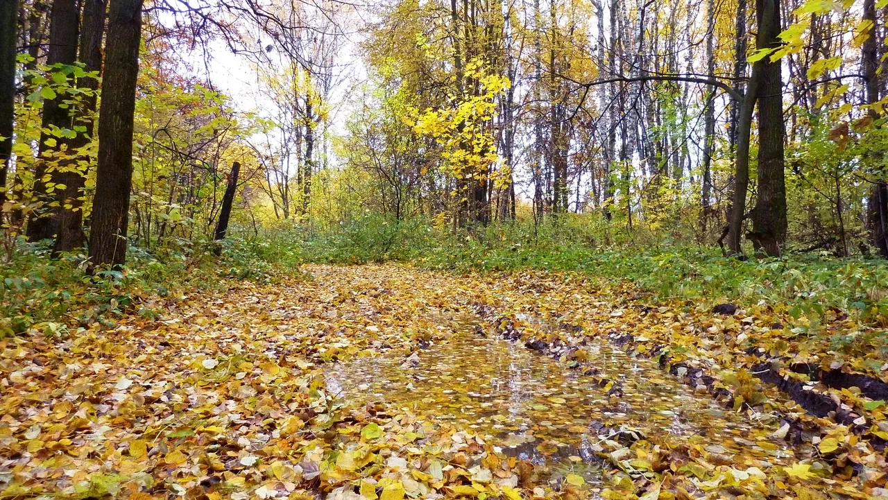 Сегодня в Заокском облачно с прояснениями. Осадков не ожидается
