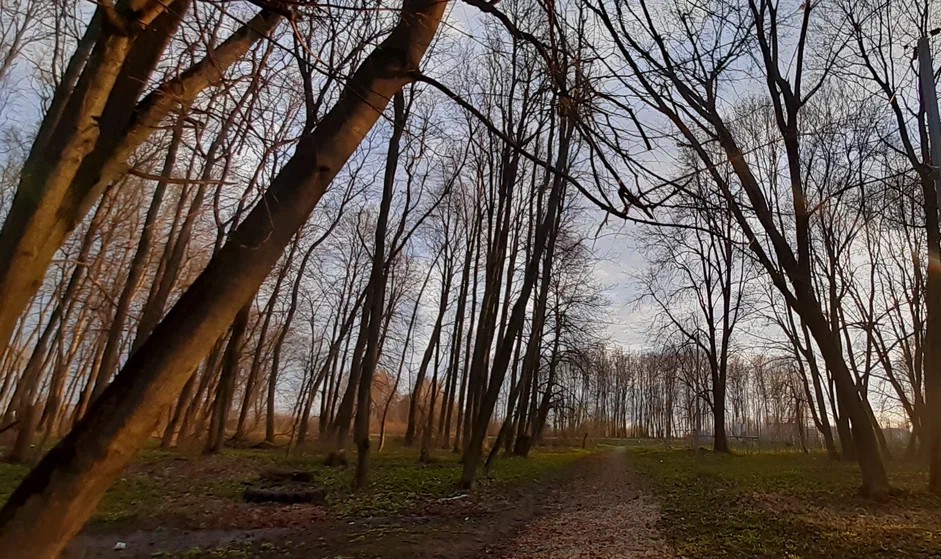 В Заокском сегодня пасмурно, без осадков В Заокском сегодня пасмурно, без осадков
