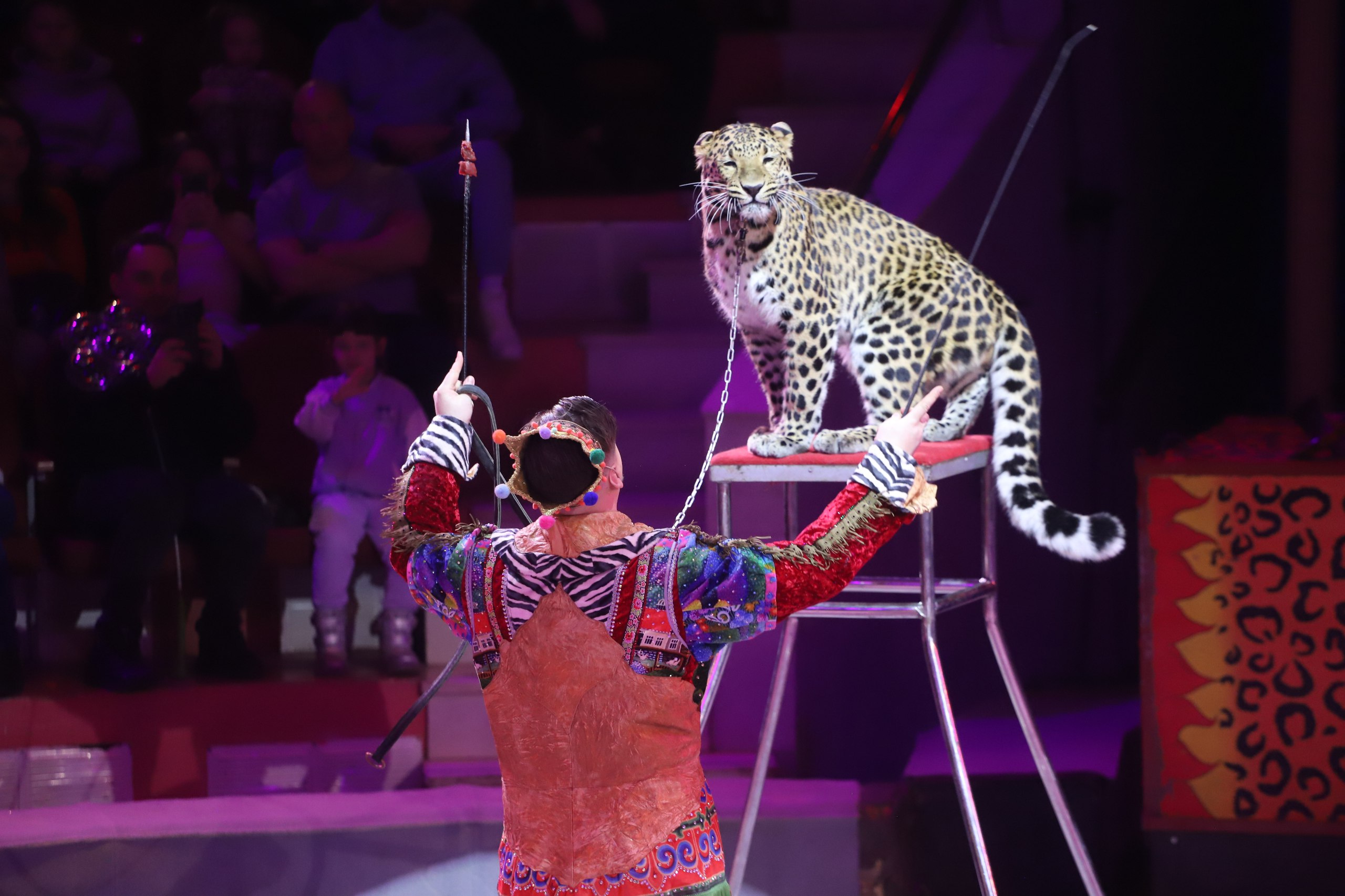 photo_5357578549503659832_w