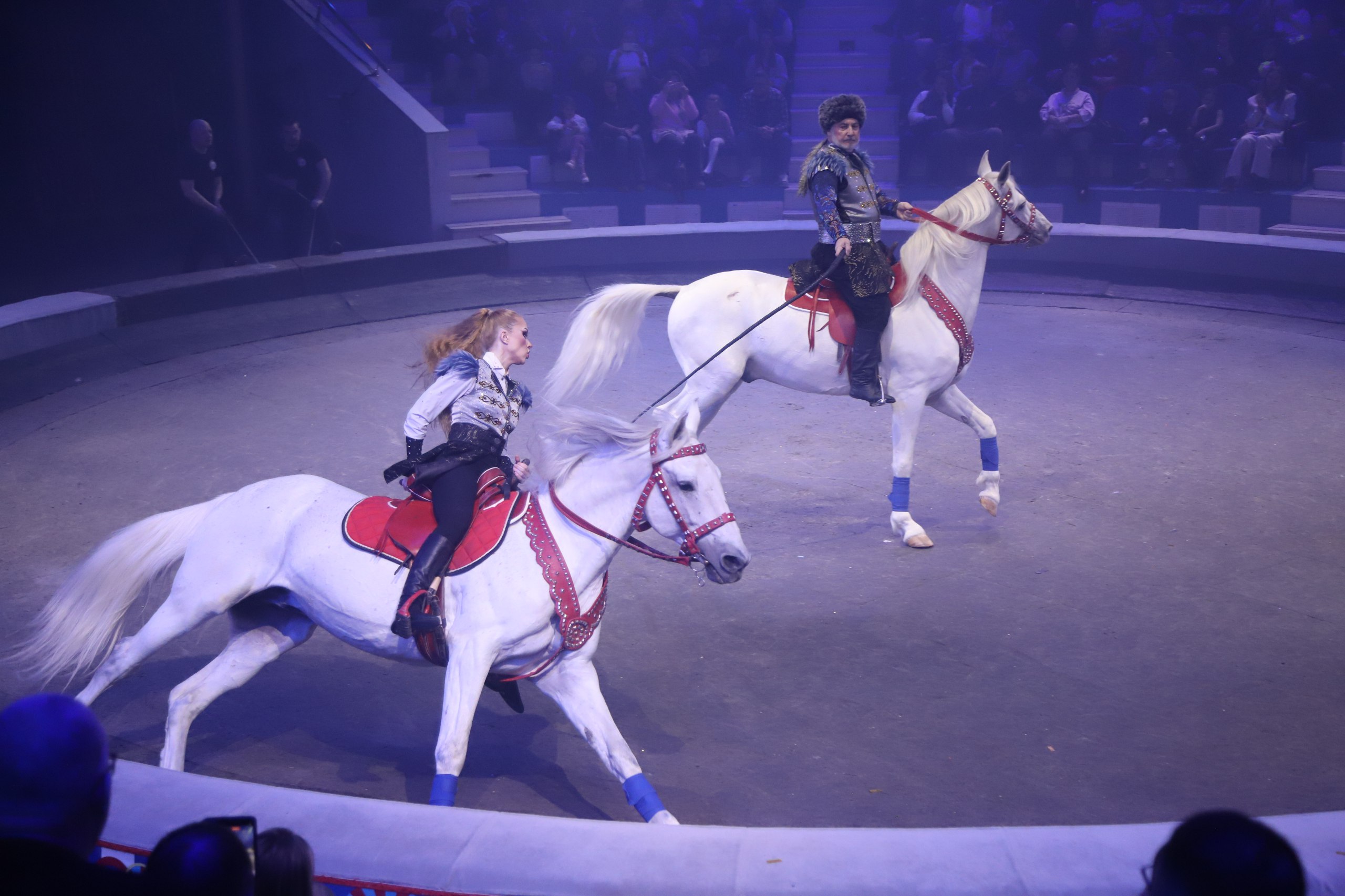 photo_5357578549503659838_w