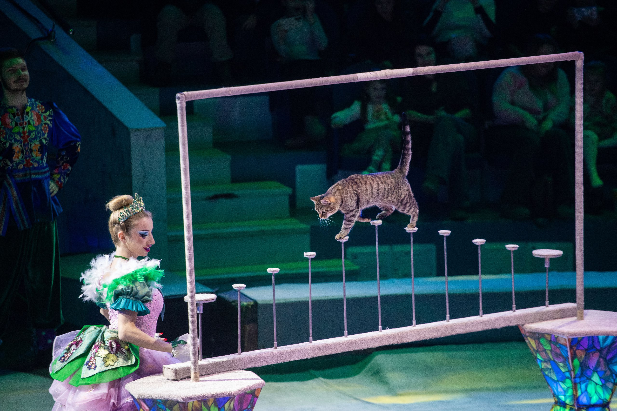 photo_5357578549503659840_w