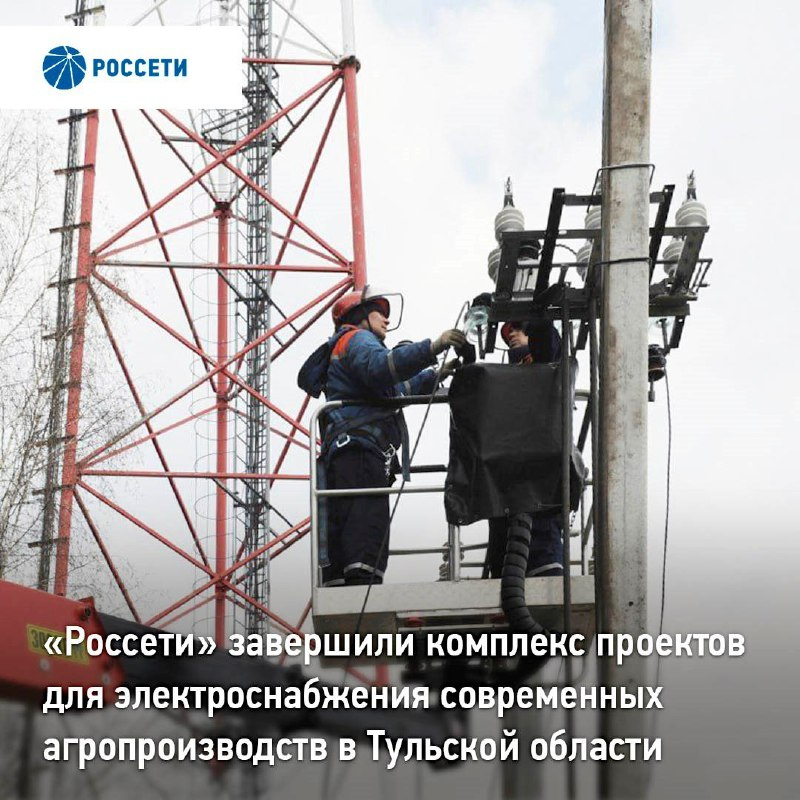 «Россети» завершили комплекс проектов для электроснабжения современных агропроизводств в Тульской области