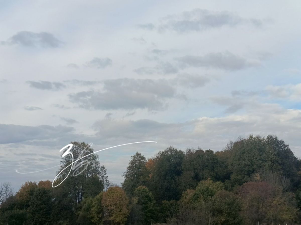 В Заокском сегодня пасмурно, без осадков В Заокском сегодня пасмурно, без осадков