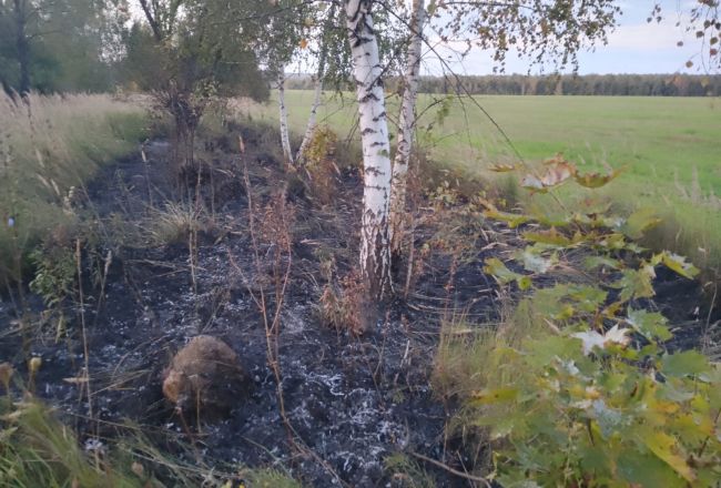 Чернские пожарные ликвидировали возгорание мусора