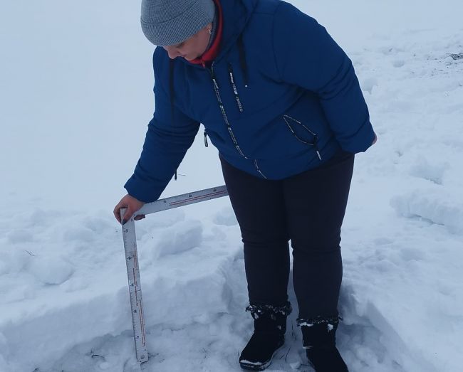 Высота снежного покрова на полях Чернского района