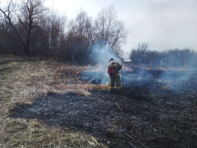 Чернские пожарные выезжают на тушение палов сухой травы