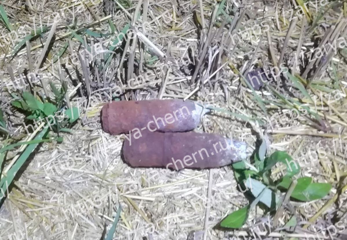 В Чернском районе нашли снаряды времен Великой Отечественной Войны