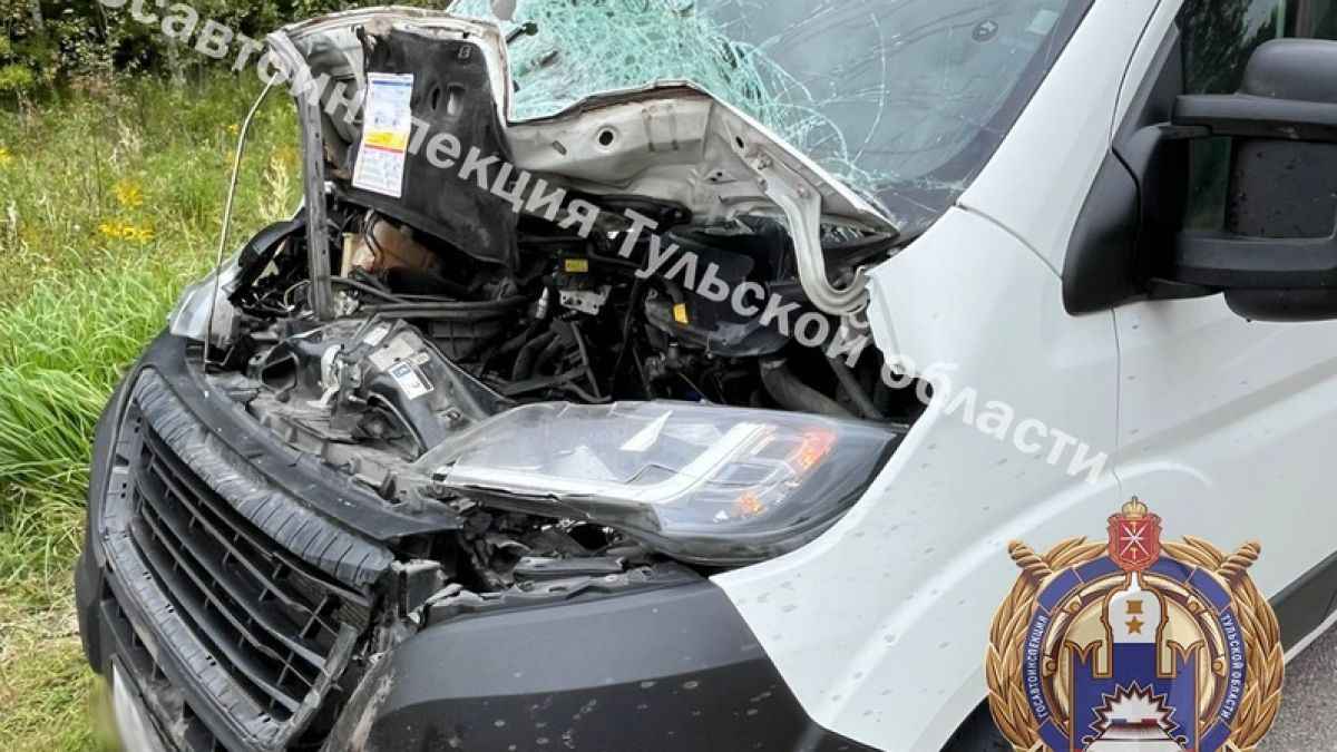 В Чернском районе два лося погибли в ДТП