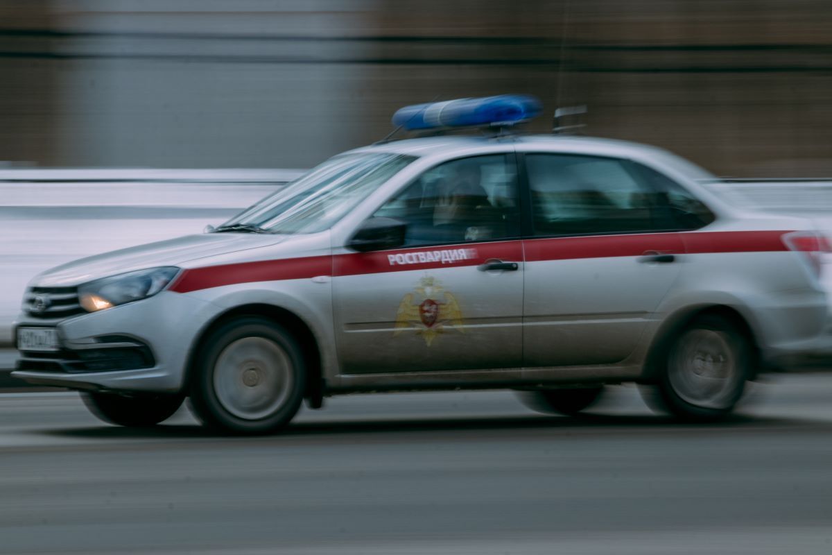 Росгвардейцы за неделю изъяли 18 единиц оружия в Тульской области Росгвардейцы за неделю изъяли 18 единиц оружия в Тульской области
