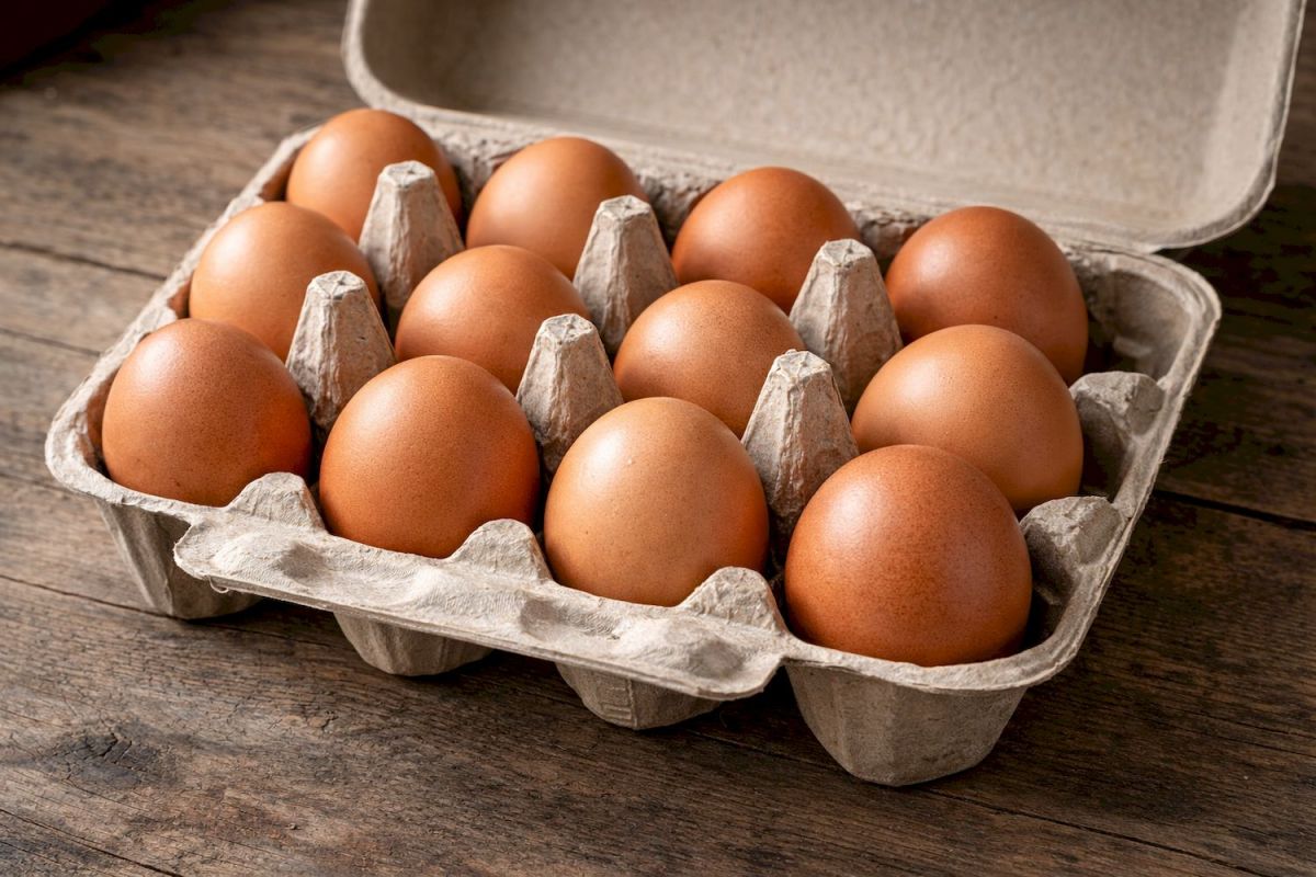 Владимир Путин: Цены на яйца в России снизились