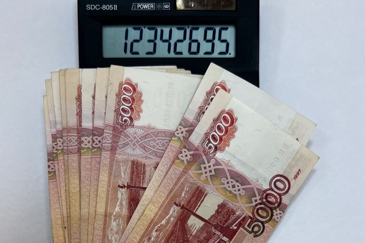 В Тульском регионе количество налогоплательщиков, использующих автоУСН, за 2 квартал увеличилось в в 1,5 раза
