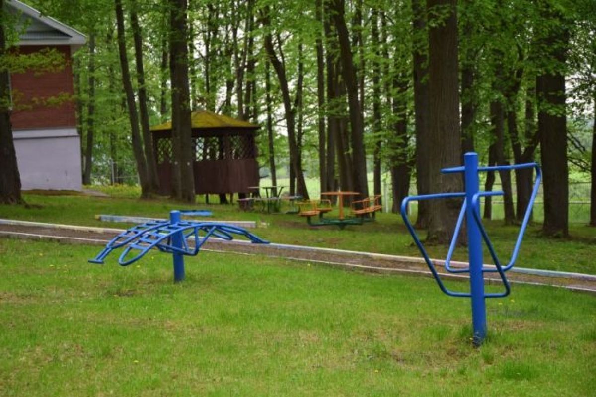 В Тульской области сформировано 13 лесопарковых зеленых поясов