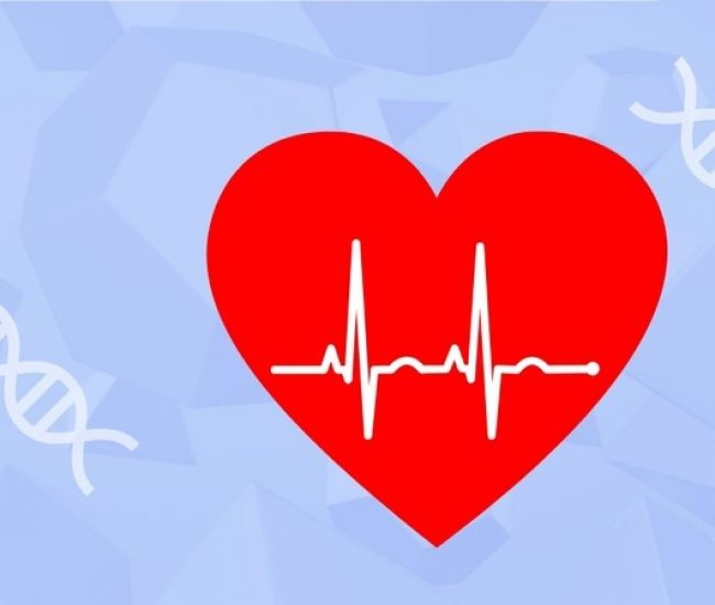 Чернянам рассказали о профилактике заболеваний сердечно-сосудистой системы